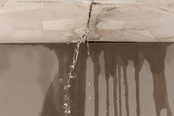 Professional Burst Pipe Cleanup technician working in Sapphire, NC